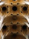 Ceiling of La Sagrada Familia