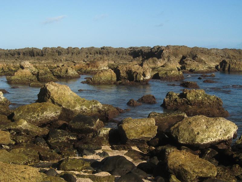 Shark's Cove, Oahu
