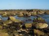 Shark's Cove, Oahu