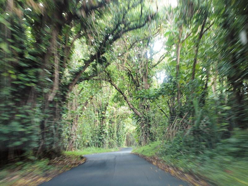 Mango Drive, Pahoa, Big Island