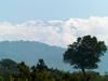 "Kilimanjaro rises like Olympus above the Serengeti"