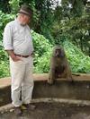 Joe and Friend, Serengeti