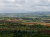 Coffee Plantations