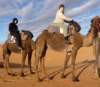 camelridersergchebbi_small.jpg
