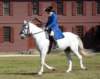 horseandridercolonialwilliamburg_small.jpg