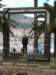 jerinthestmartingardensmonaco_small.jpg